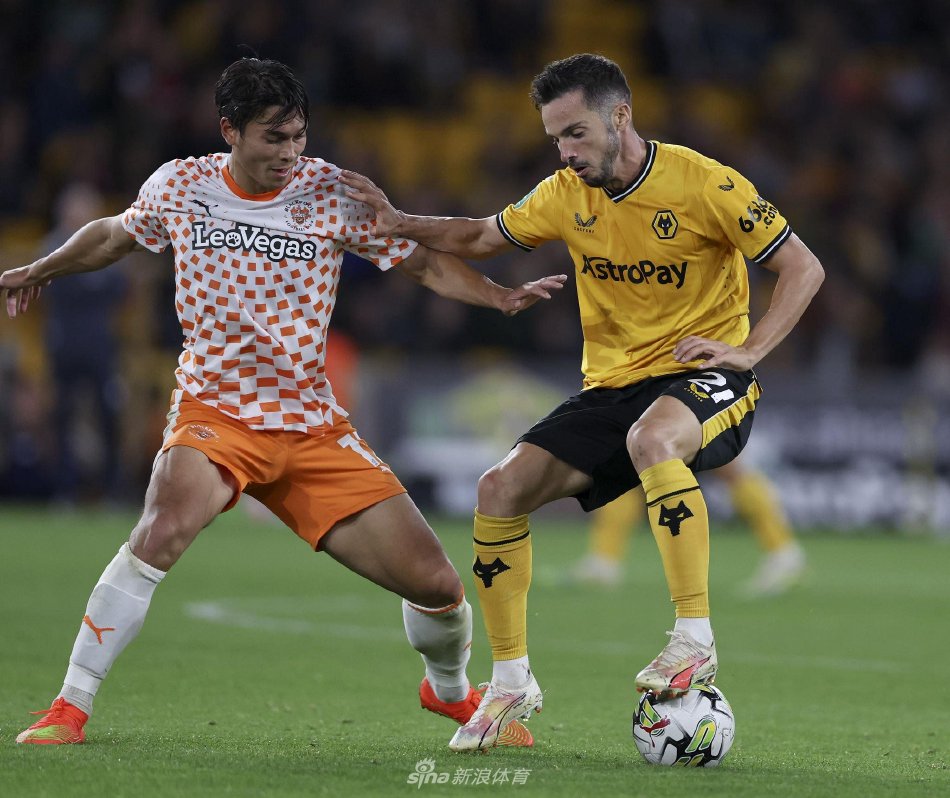 能够取得这 能够取得这